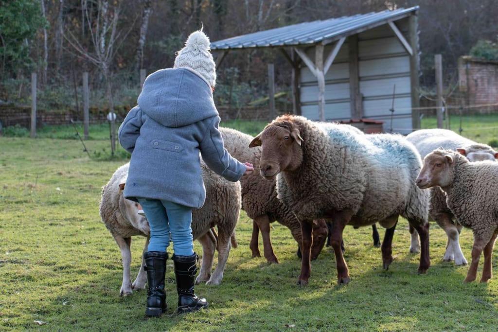 Maison Au Milieu Des Bois Et Des Animaux Jouy-le-Potier المظهر الخارجي الصورة