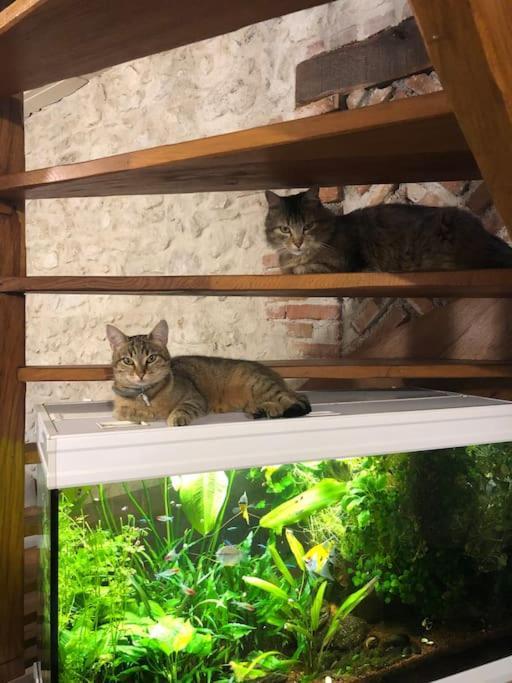 Maison Au Milieu Des Bois Et Des Animaux Jouy-le-Potier المظهر الخارجي الصورة