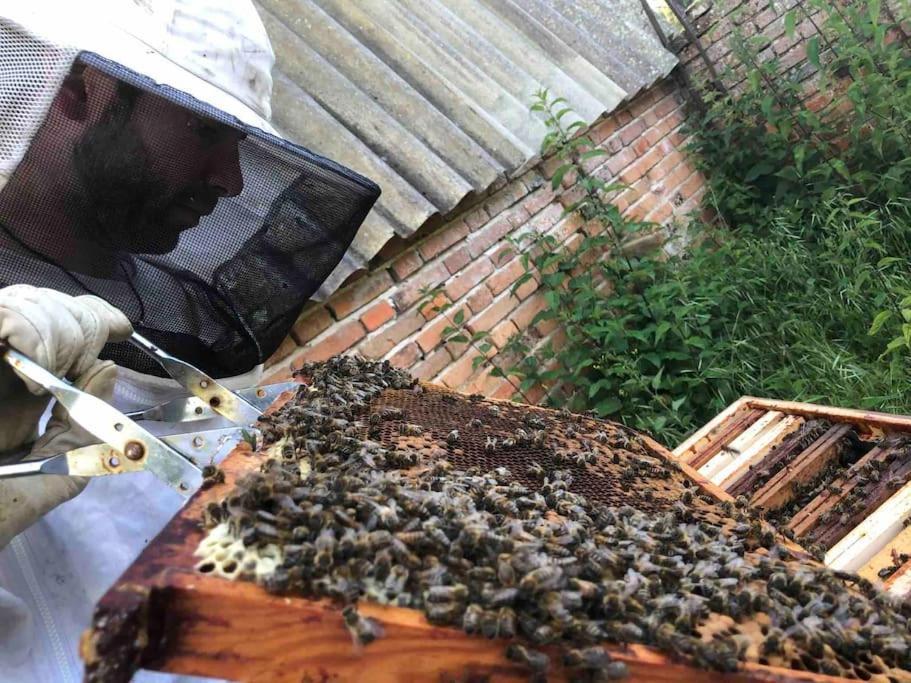 Maison Au Milieu Des Bois Et Des Animaux Jouy-le-Potier المظهر الخارجي الصورة